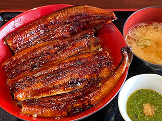 うなぎ丸ごと一尾丼